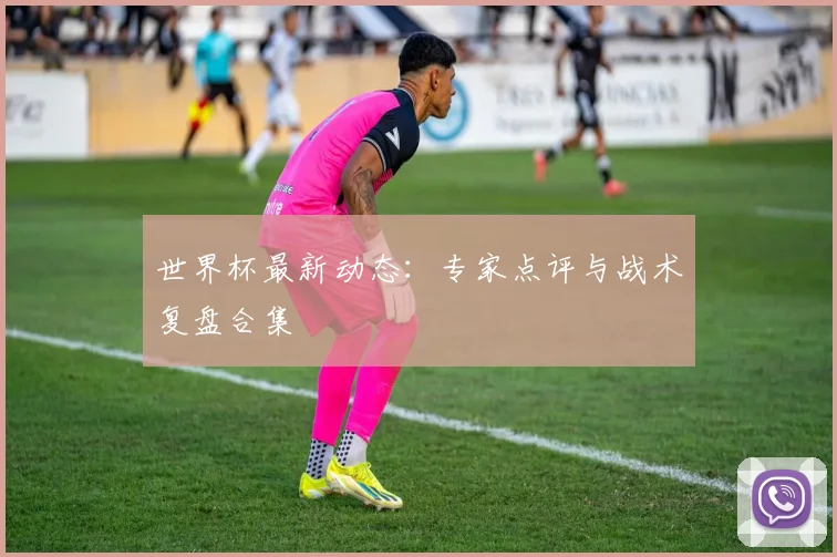 世界杯最新动态:专家点评与战术复盘合集